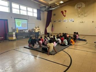 1st-4th Grades